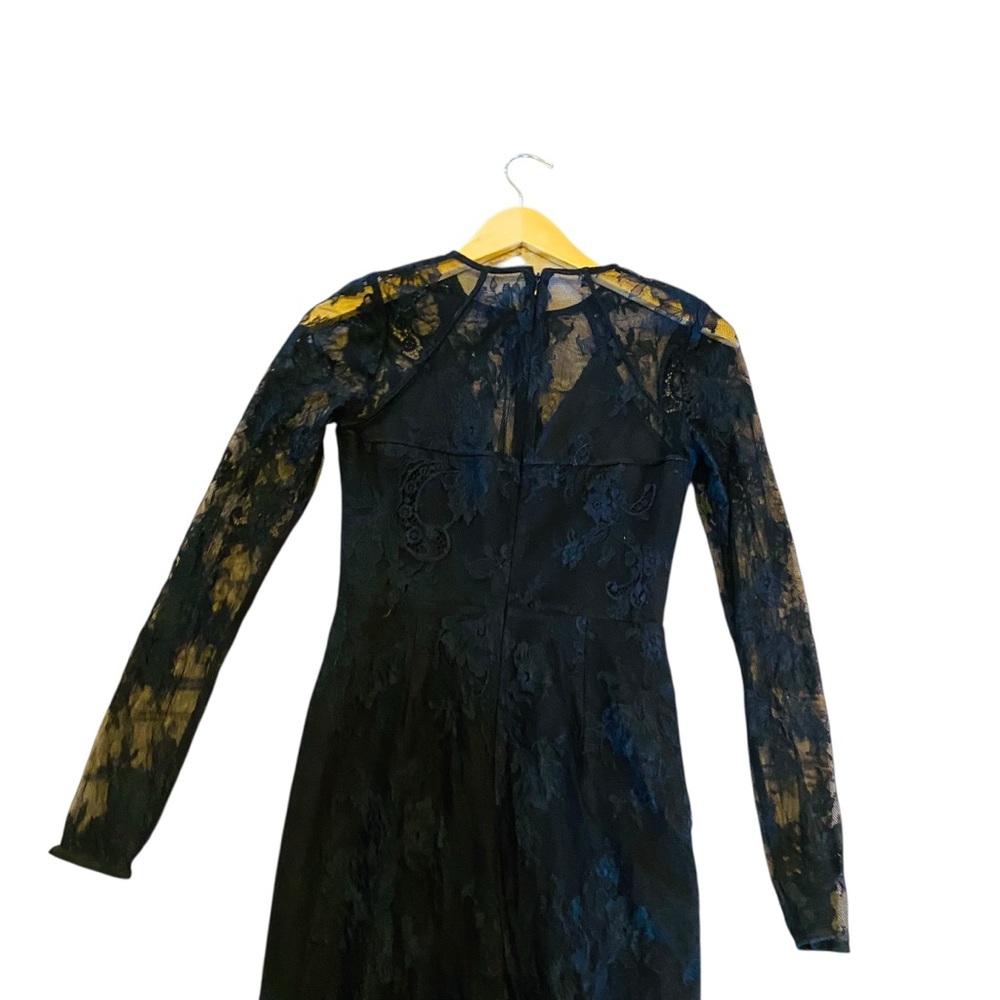Lovers + Friends Black Lace Sheer Whimsigoth Nora Jumpsuit - Picture 4 of 9